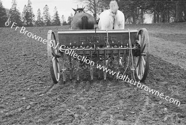 SOWING OATS BY MACHINE DAIRY HILL